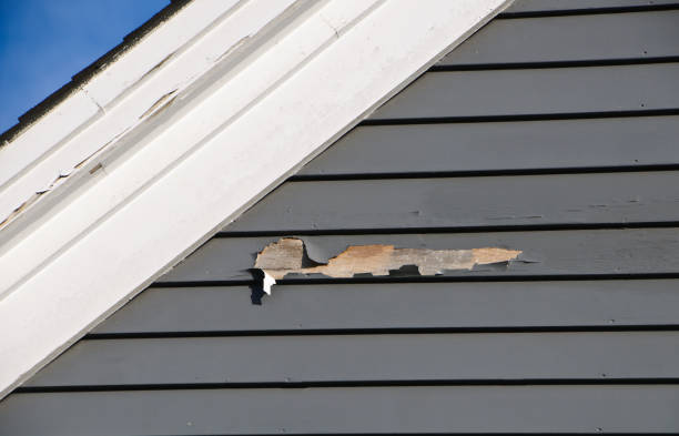 Best Hoarding Cleanup  in Rockford, IL